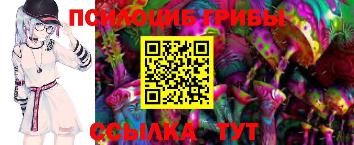 Чебоксары  Галлюциногенные грибы мухоморы  Псилоцибиновые грибы GOLDEN TEACHER  Вход с VPN 